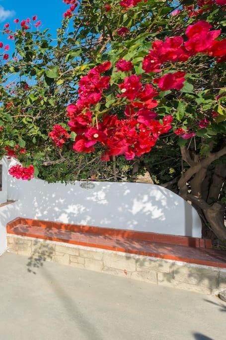 Greek Style Ground Floor Apartment & Pool Ialysos  Exteriör bild