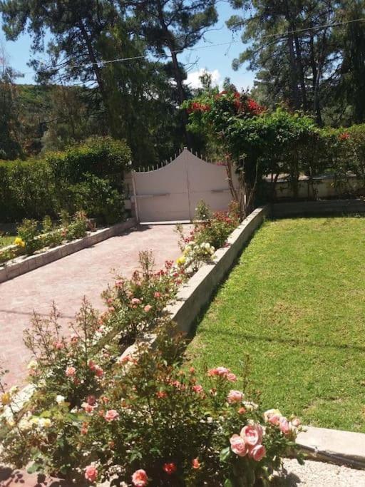 Greek Style Ground Floor Apartment & Pool Ialysos  Exteriör bild