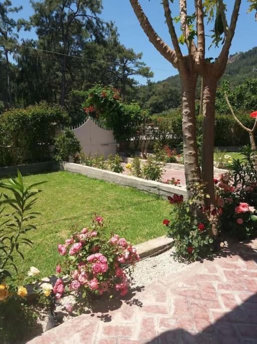 Greek Style Ground Floor Apartment & Pool Ialysos  Exteriör bild