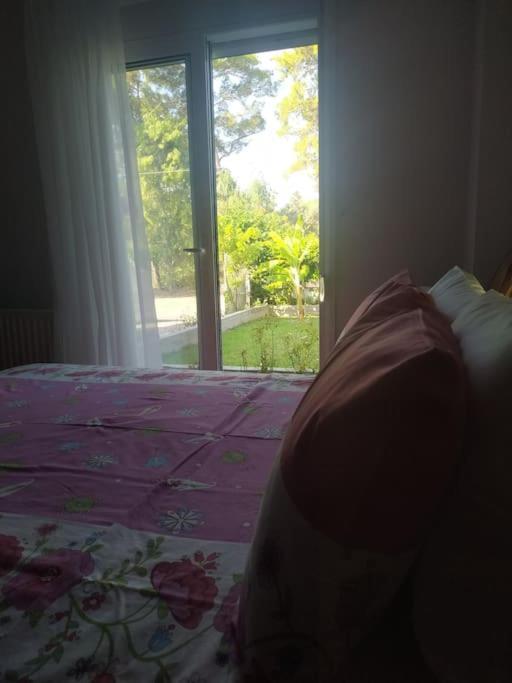 Greek Style Ground Floor Apartment & Pool Ialysos  Exteriör bild
